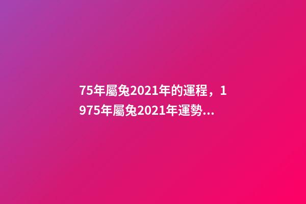 75年屬兔2021年的運程，1975年屬兔2021年運勢及運程 1975年2021年屬兔人的全年運勢？-第1張-觀點-玄機派